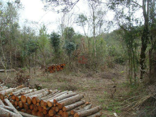 Terreno à venda, 50000M2 - Foto 4