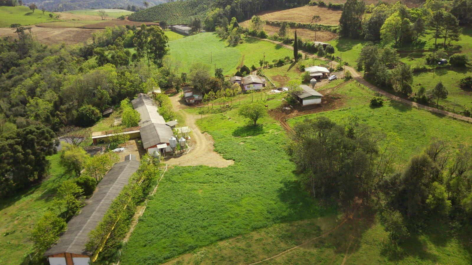 Fazenda à venda, 133000m² - Foto 5