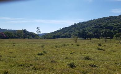 Fazenda à venda com 2 quartos, 290000m² - Foto 5