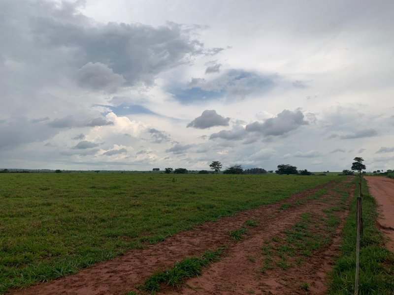 Fazenda à venda, 1007m² - Foto 13