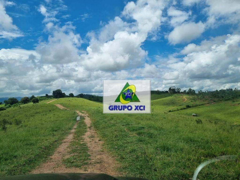 Fazenda-Sítio-Chácara, 250 hectares - Foto 10