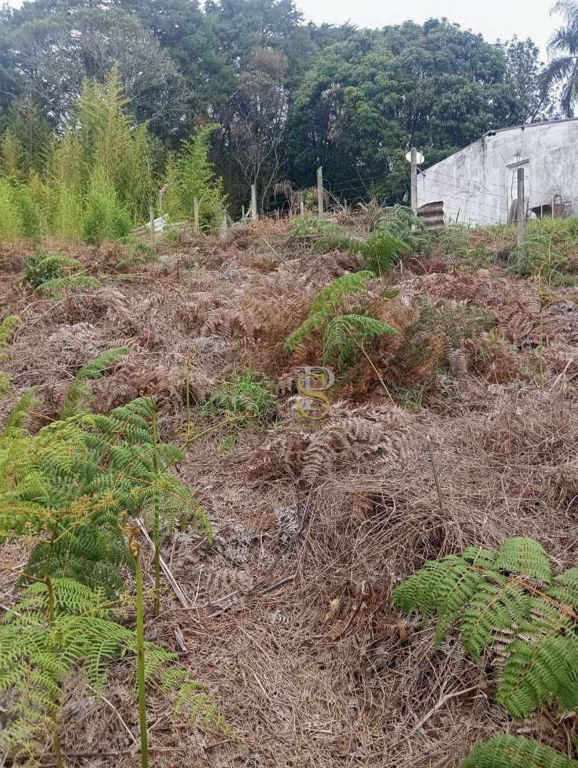 Terreno à venda, 300M2 - Foto 7