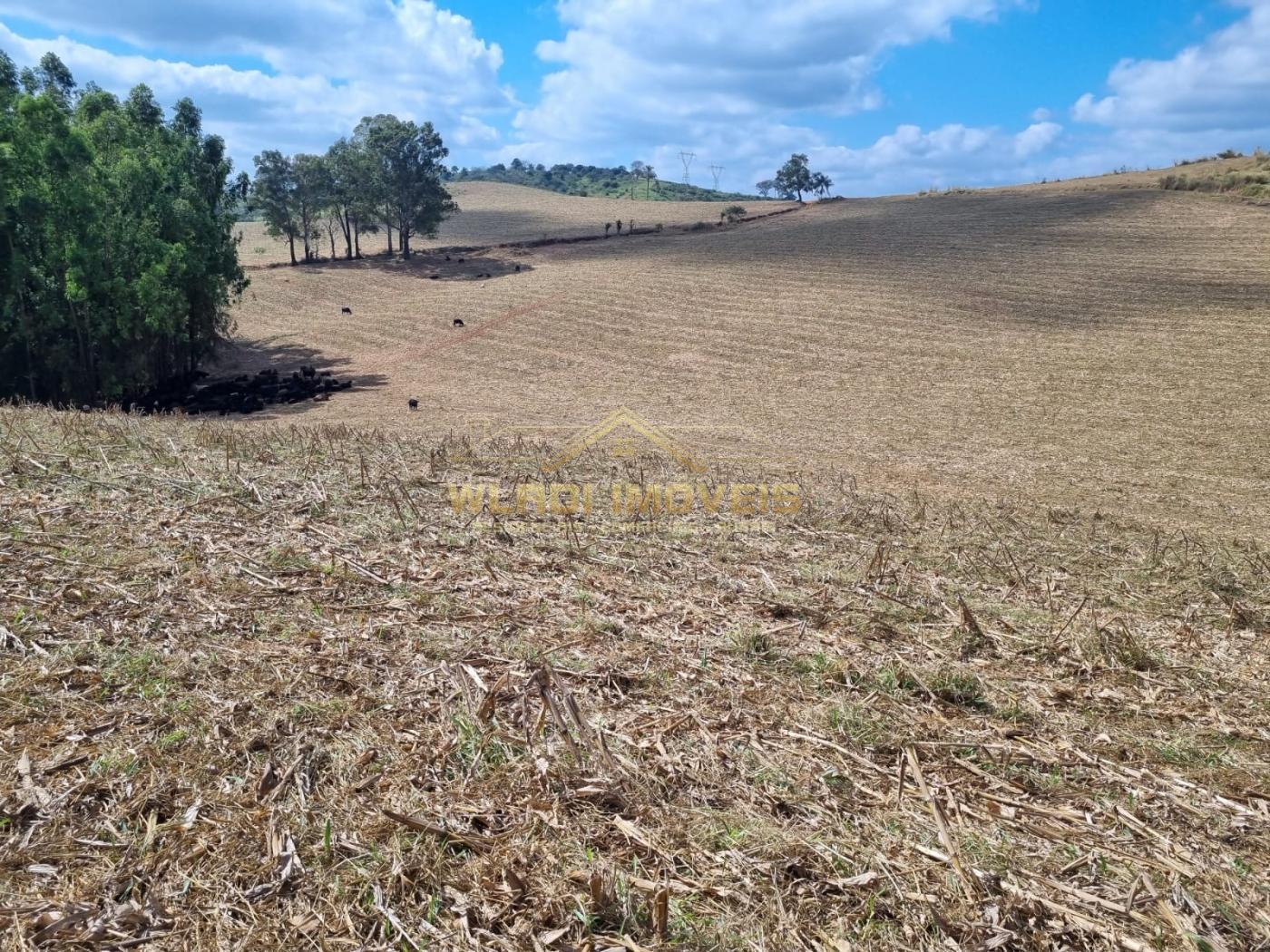 Fazenda à venda, 220m² - Foto 37