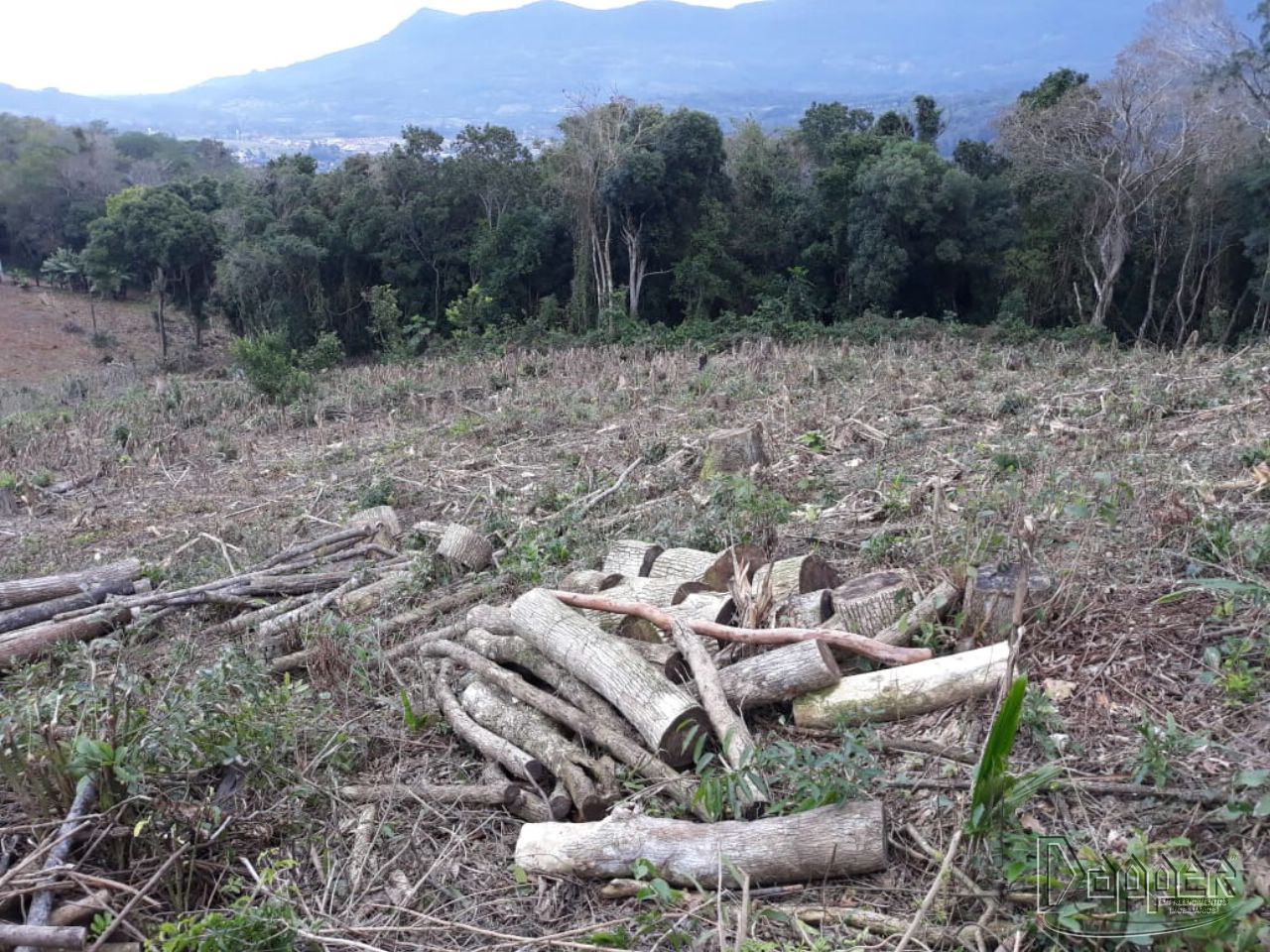 Terreno à venda - Foto 1