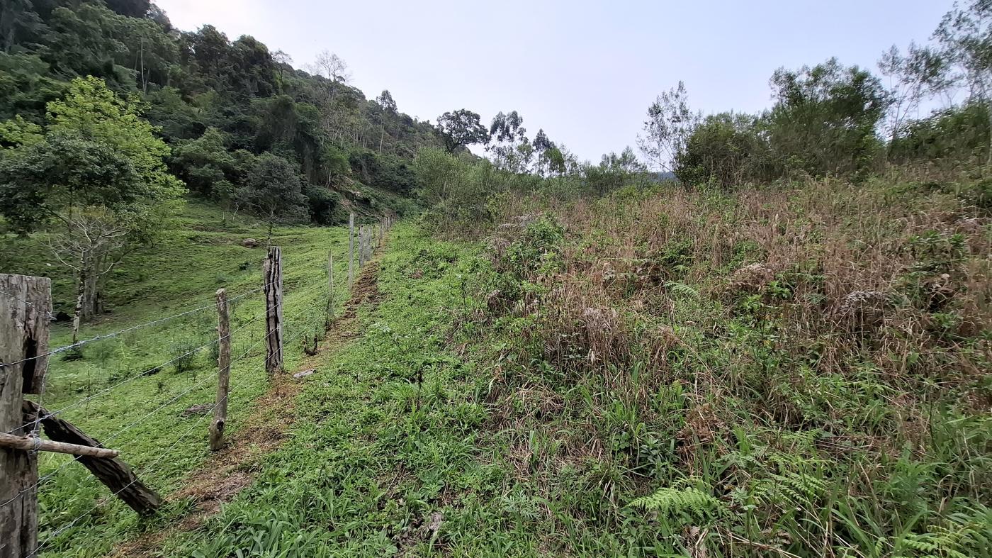 Fazenda à venda, 40000m² - Foto 22