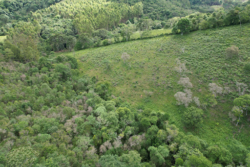 Terreno à venda, 75000M2 - Foto 16