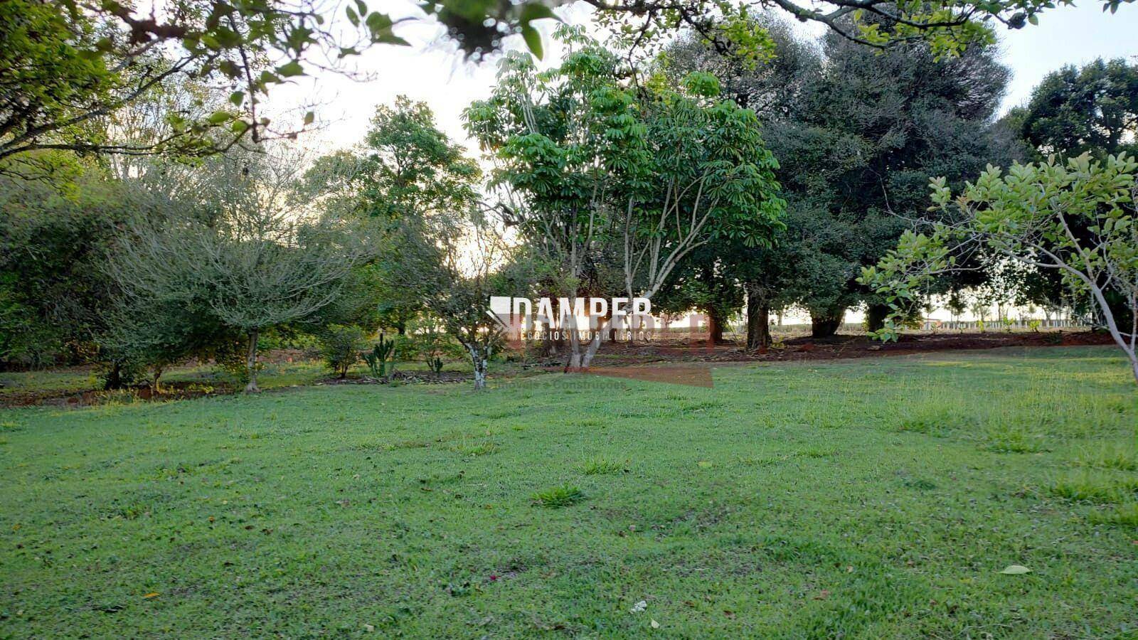 Sítio à venda com 5 quartos, 217800M2 - Foto 6