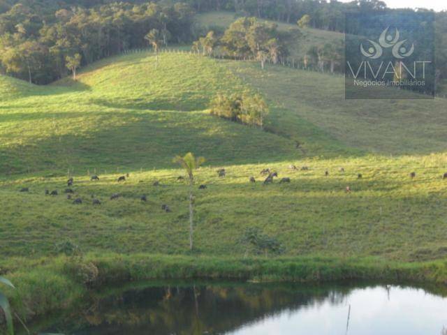 Terreno à venda, 300M2 - Foto 4