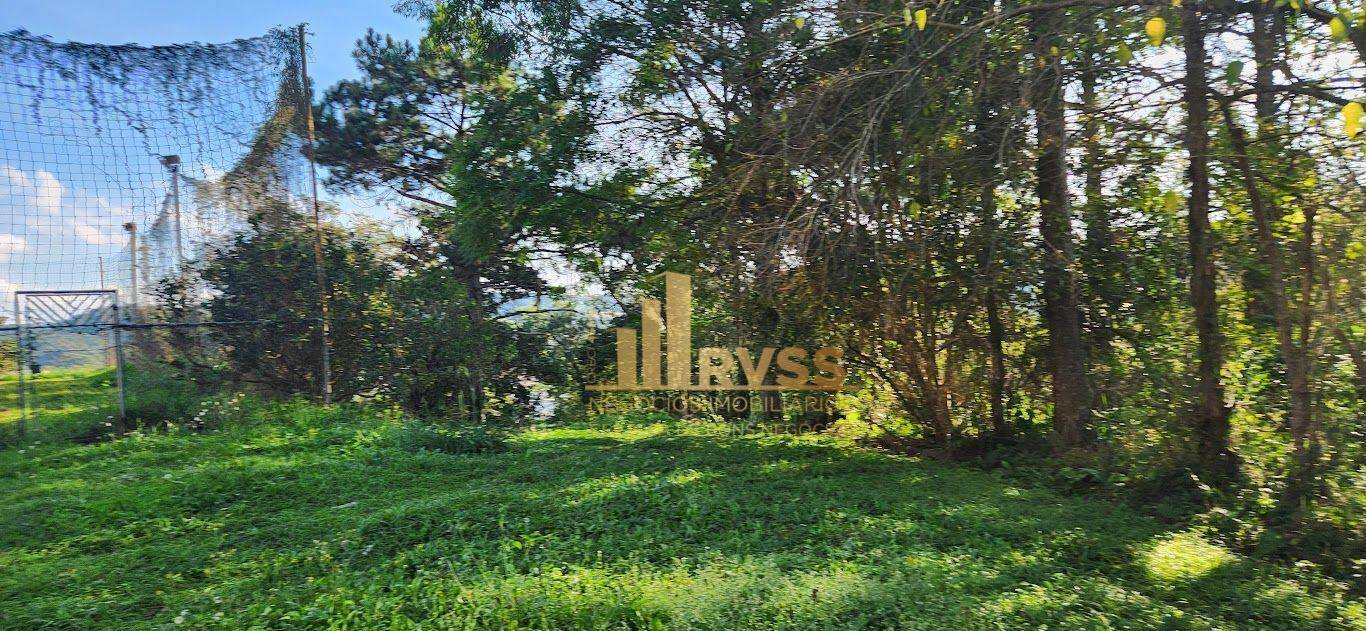 Depósito-Galpão-Armazém à venda e aluguel, 7267m² - Foto 47