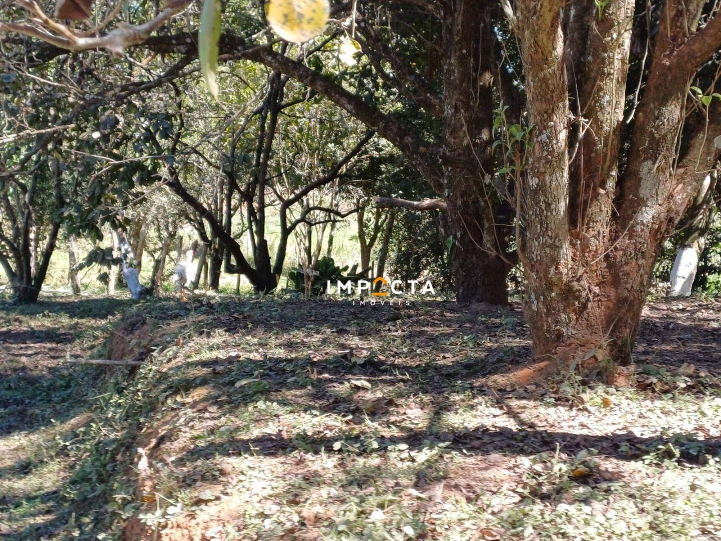 Chácara à venda com 2 quartos, 10500M2 - Foto 16