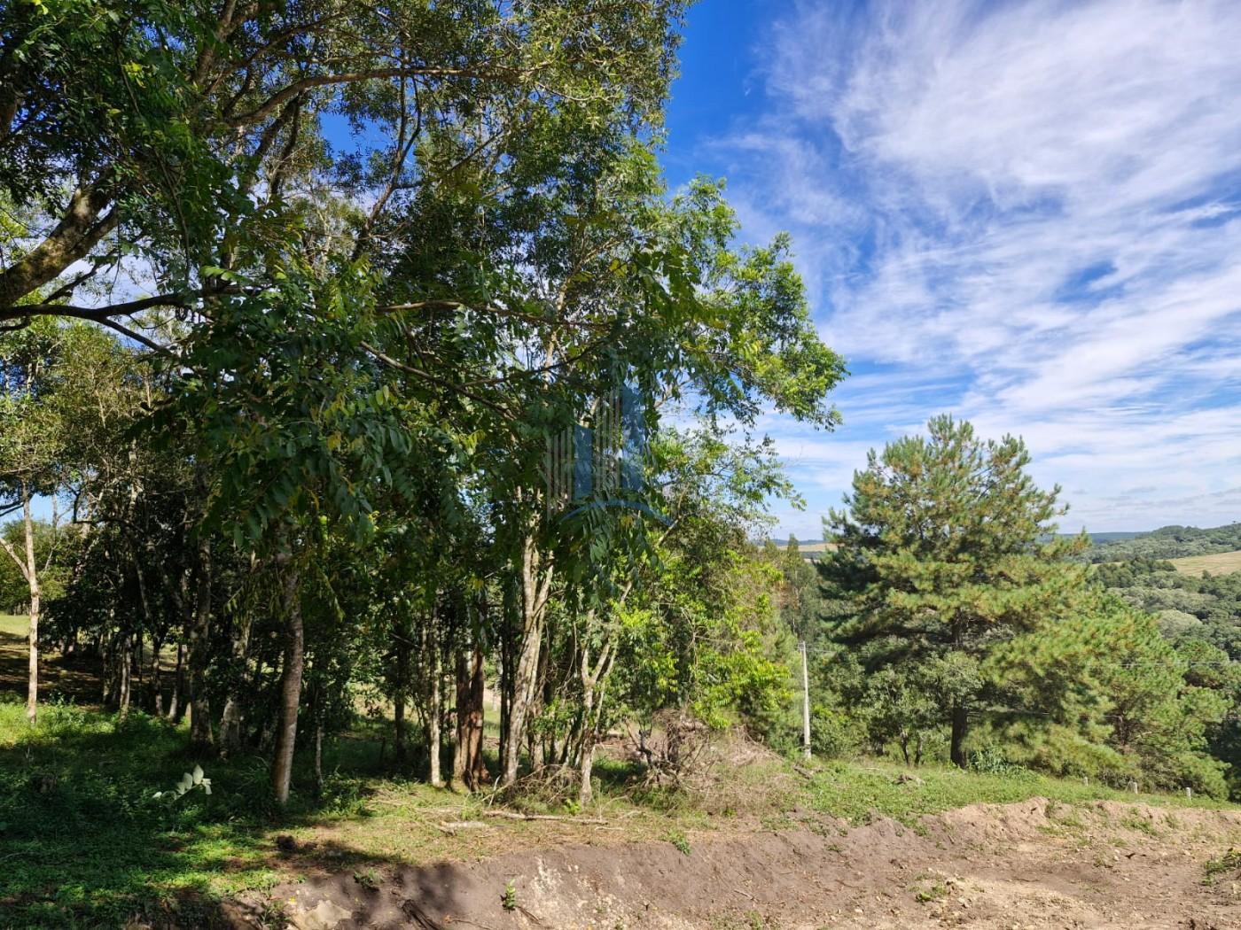Terreno à venda, 1000m² - Foto 13