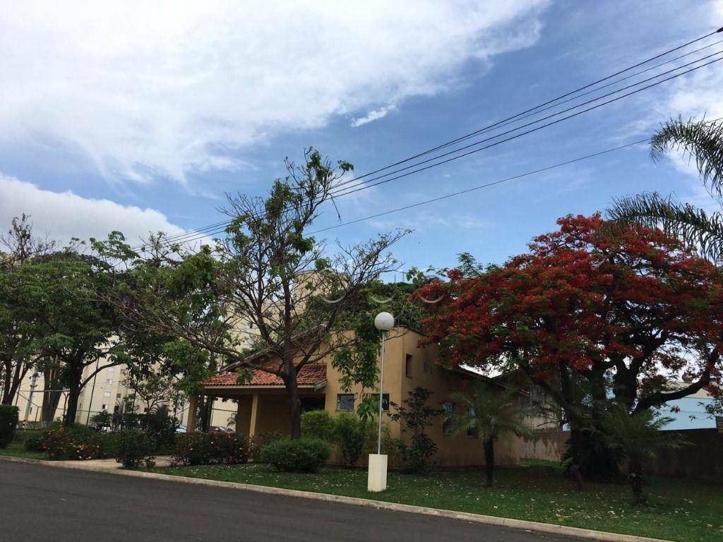 Apartamento, 2 quartos, 55 m² - Foto 2