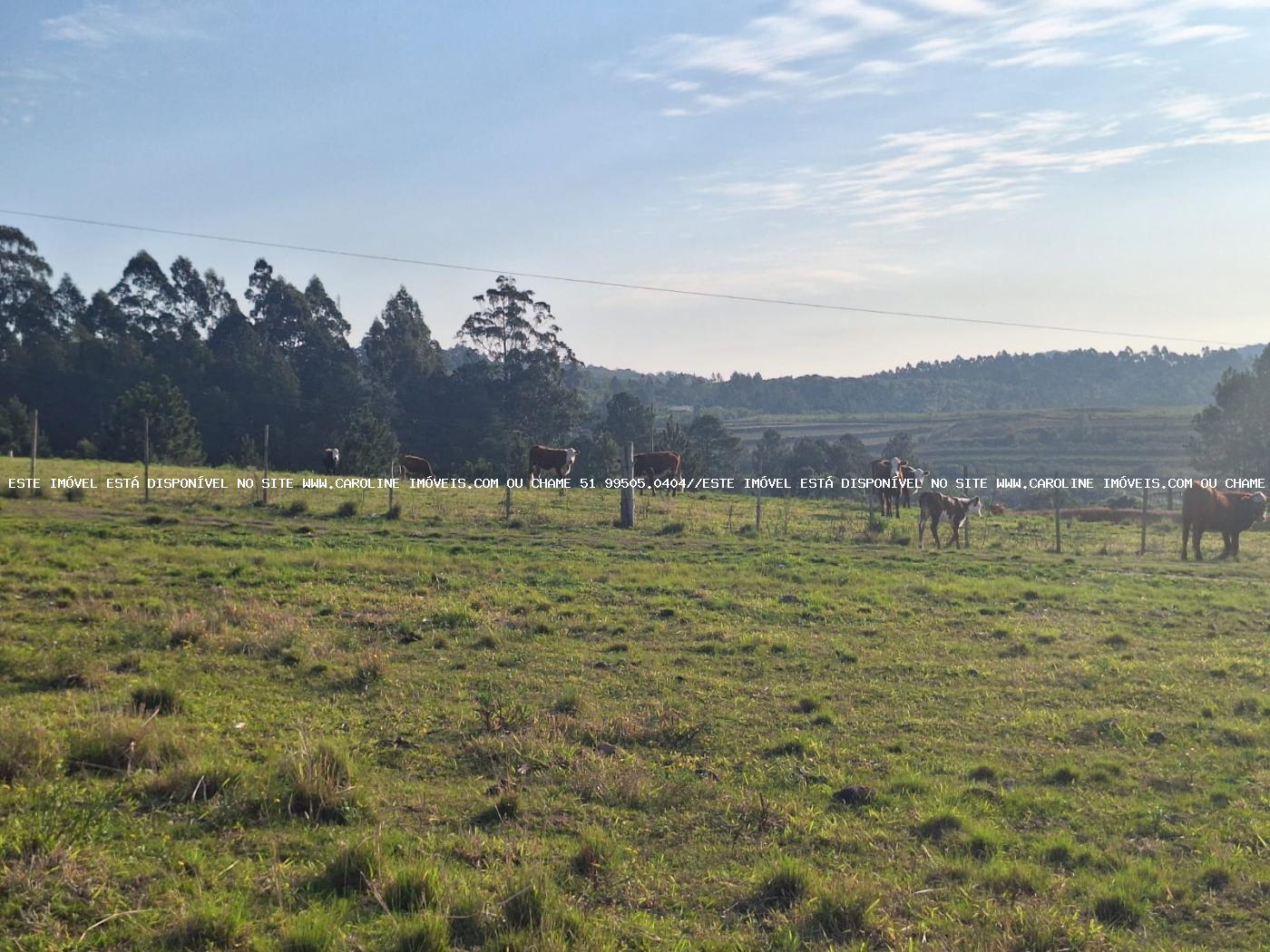 Fazenda à venda, 80000m² - Foto 47