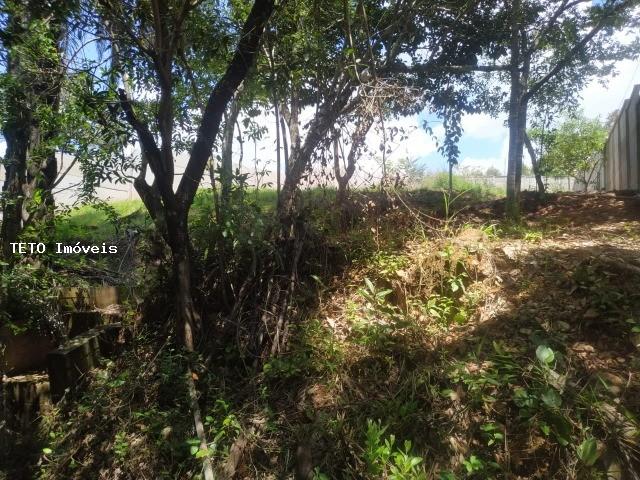 Terreno, 700 m² - Foto 4