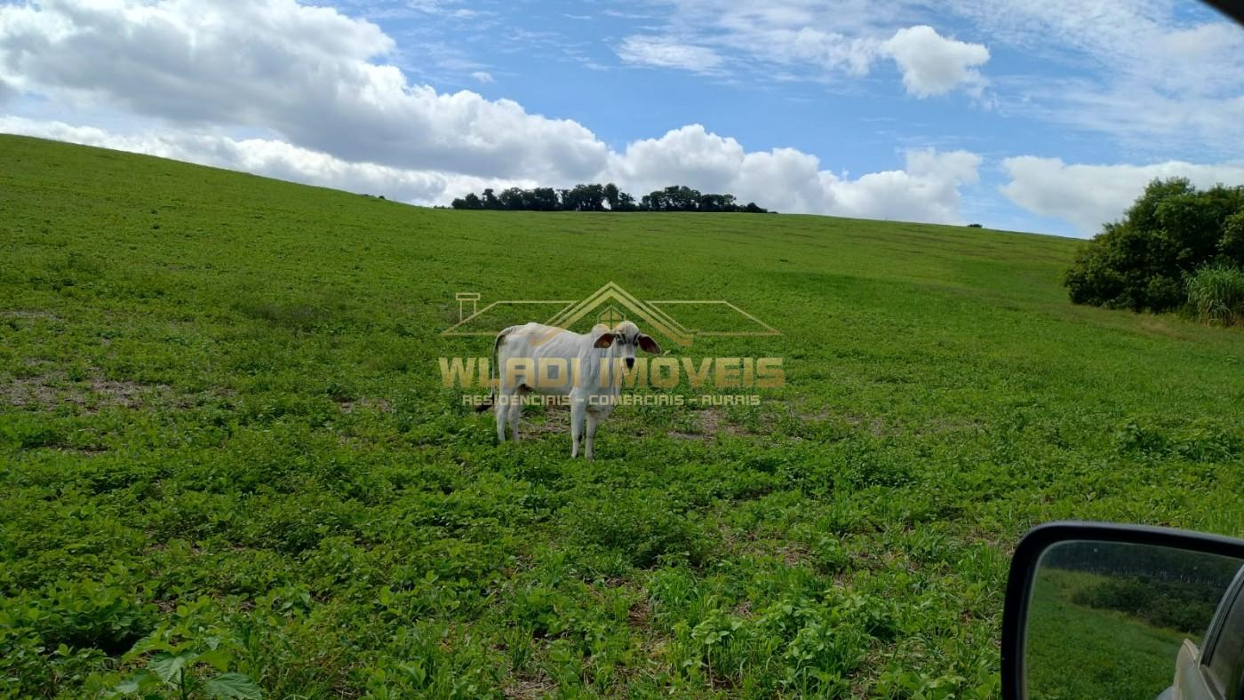 Fazenda à venda, 160m² - Foto 2