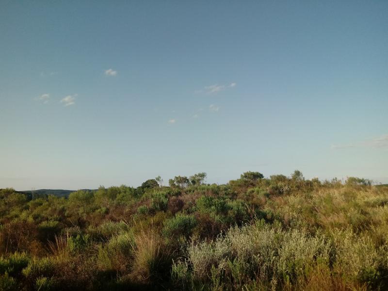 Loteamento e Condomínio à venda, 30000m² - Foto 14