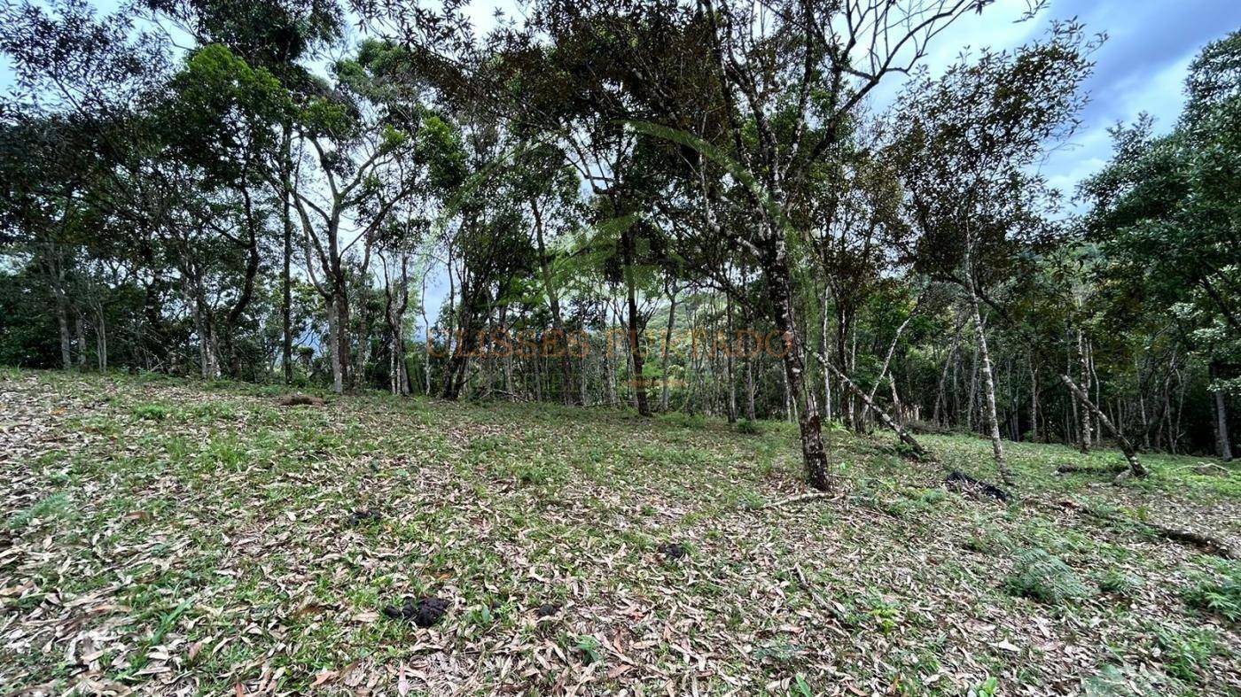 Terreno, 10000 m² - Foto 11