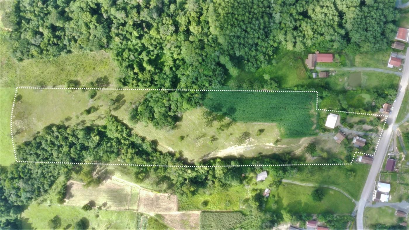 Sítio à venda com 2 quartos, 37800m² - Foto 19