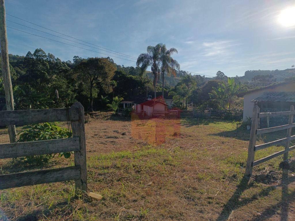 Sítio, 10 hectares - Foto 36