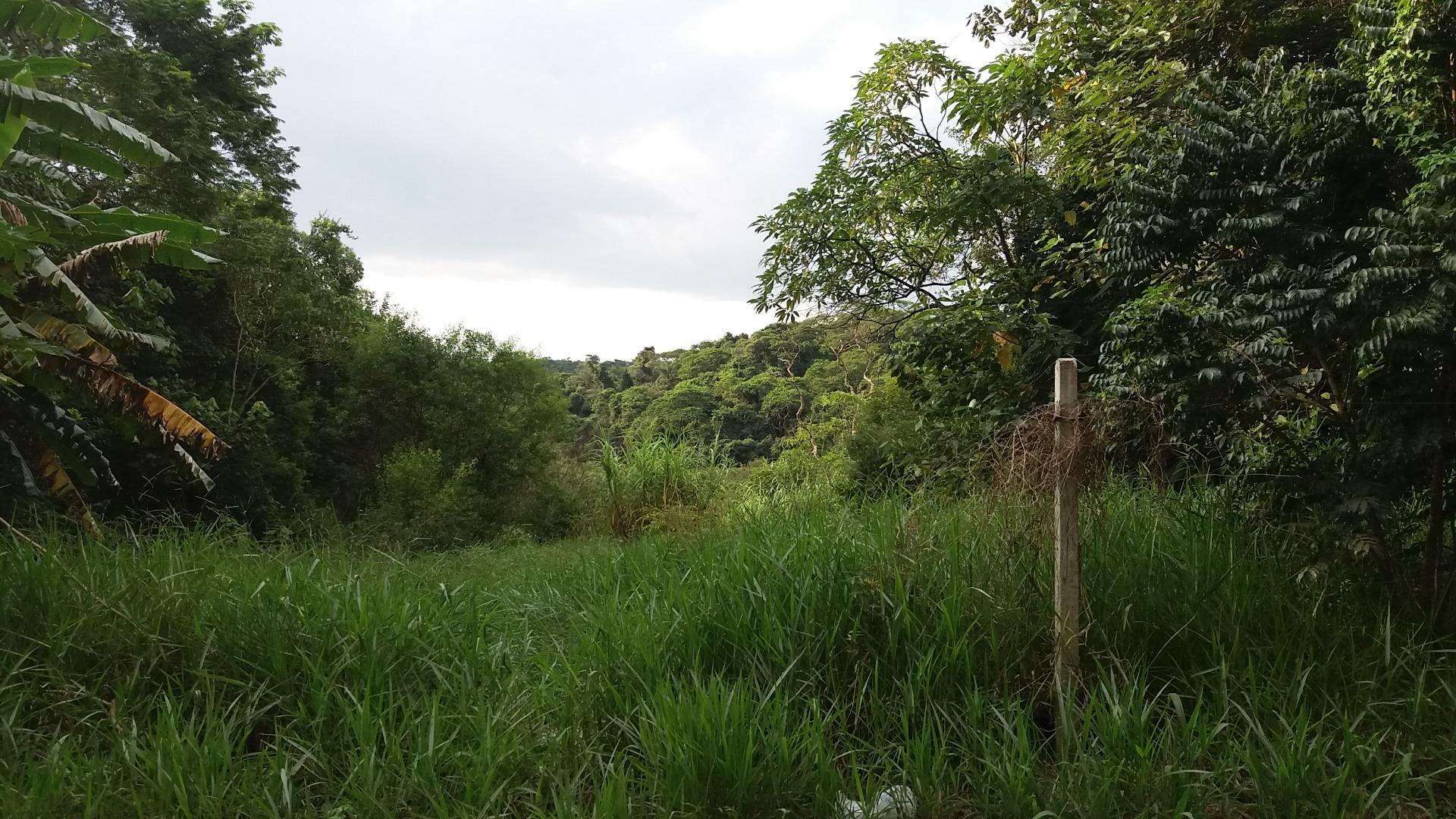 Terreno à venda, 7632M2 - Foto 12