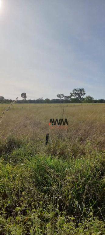 Fazenda-Sítio-Chácara, 213 hectares - Foto 12