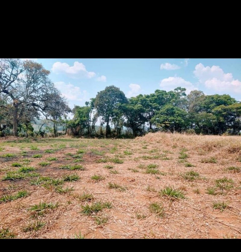 Terreno à venda, 500m² - Foto 1