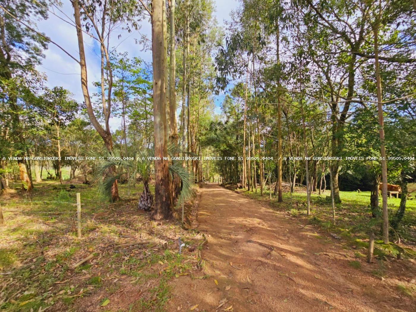 Sítio à venda, 30000m² - Foto 27