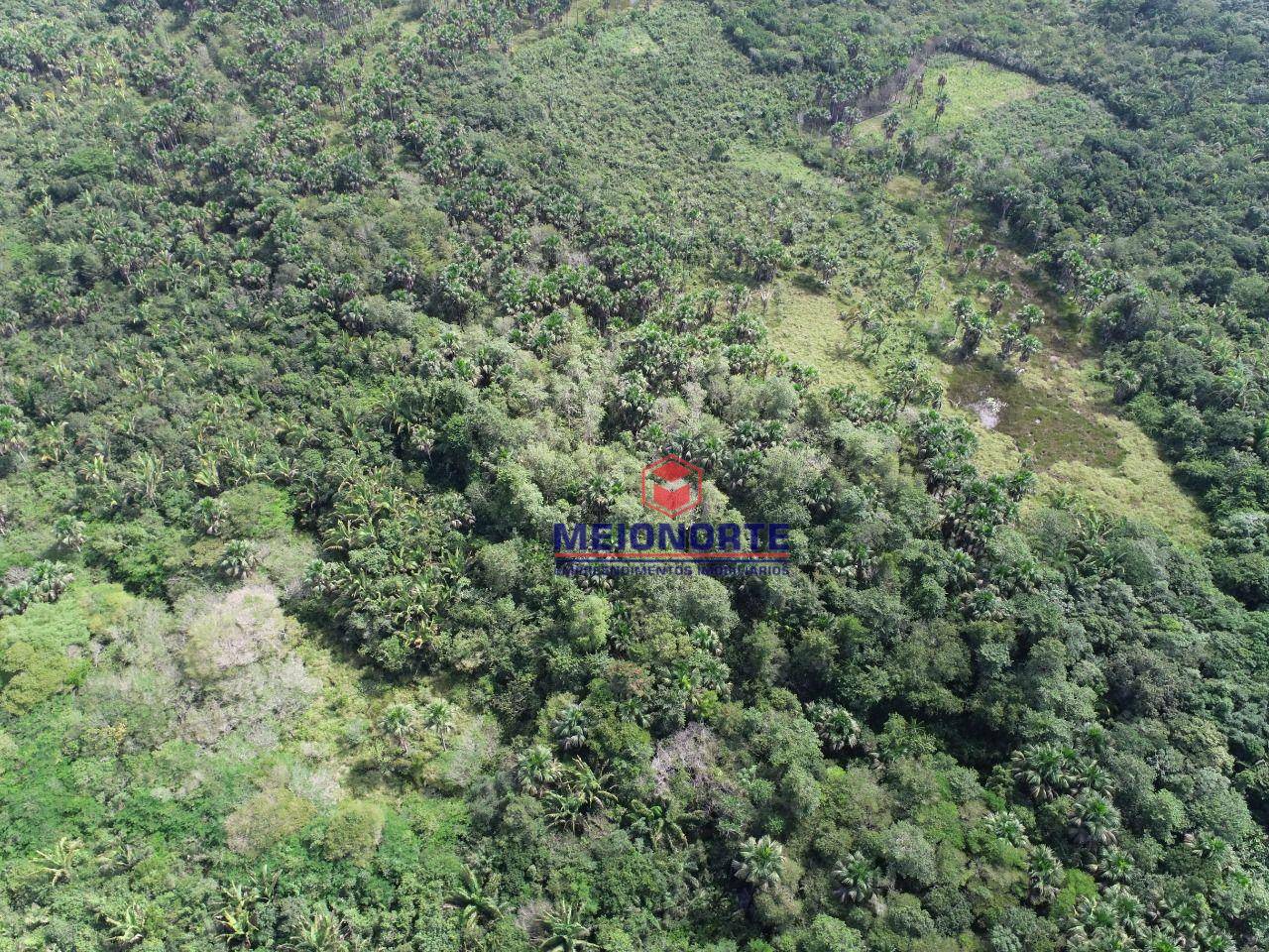 Fazenda à venda com 1 quarto, 20190000M2 - Foto 9