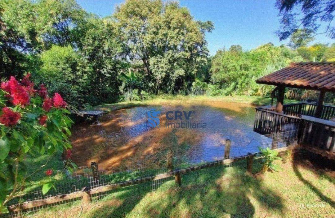 Chácara, 4 quartos, 3 hectares - Foto 2