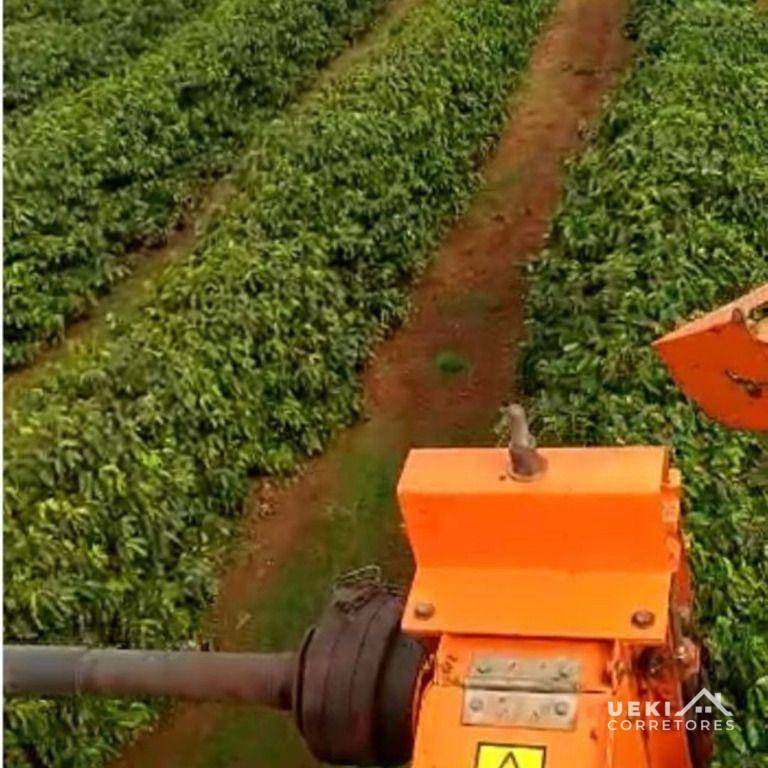 Fazenda à venda, 2420000M2 - Foto 4