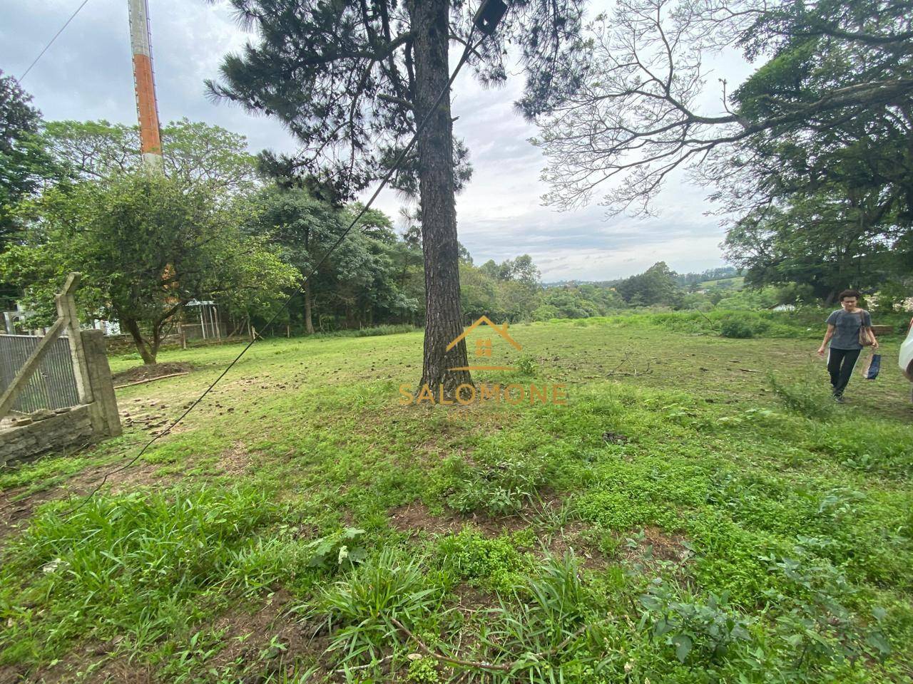 Terreno, 10000 m² - Foto 2