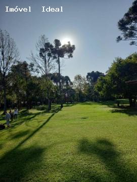 Fazenda à venda com 3 quartos, 26000m² - Foto 25