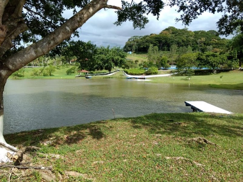 Fazenda à venda, 280m² - Foto 5