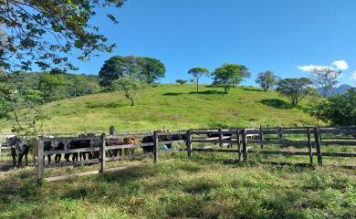 Fazenda à venda com 3 quartos, 387200m² - Foto 21