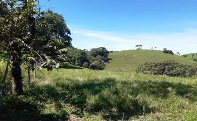 Fazenda à venda com 2 quartos, 210000m² - Foto 25