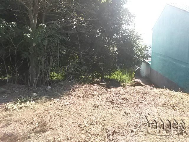 Terreno à venda - Foto 2