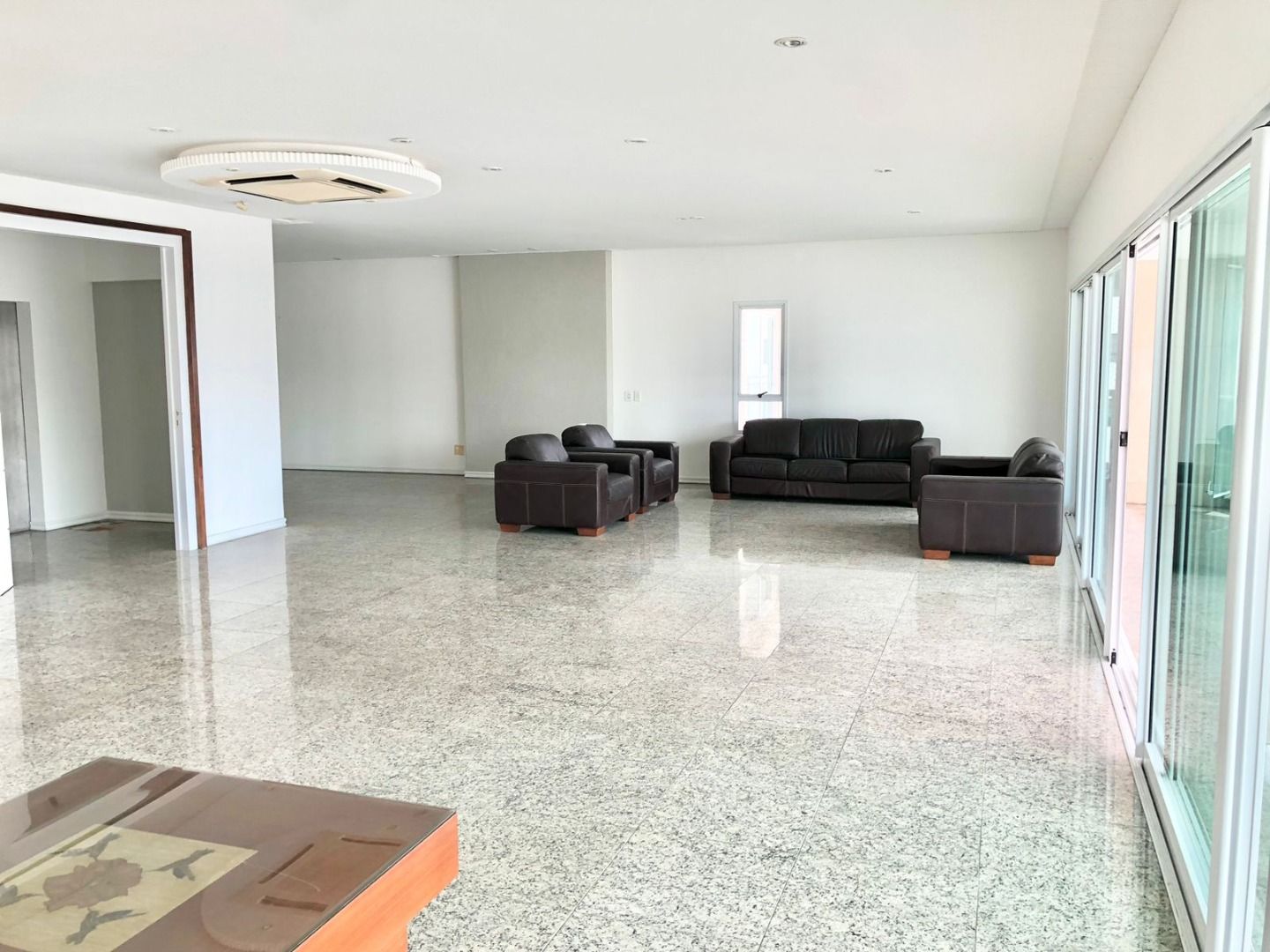 Apartamento à venda com 4 quartos, 395m² - Foto 6