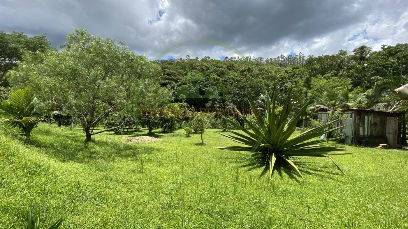 Chácara, 6000 m² - Foto 12