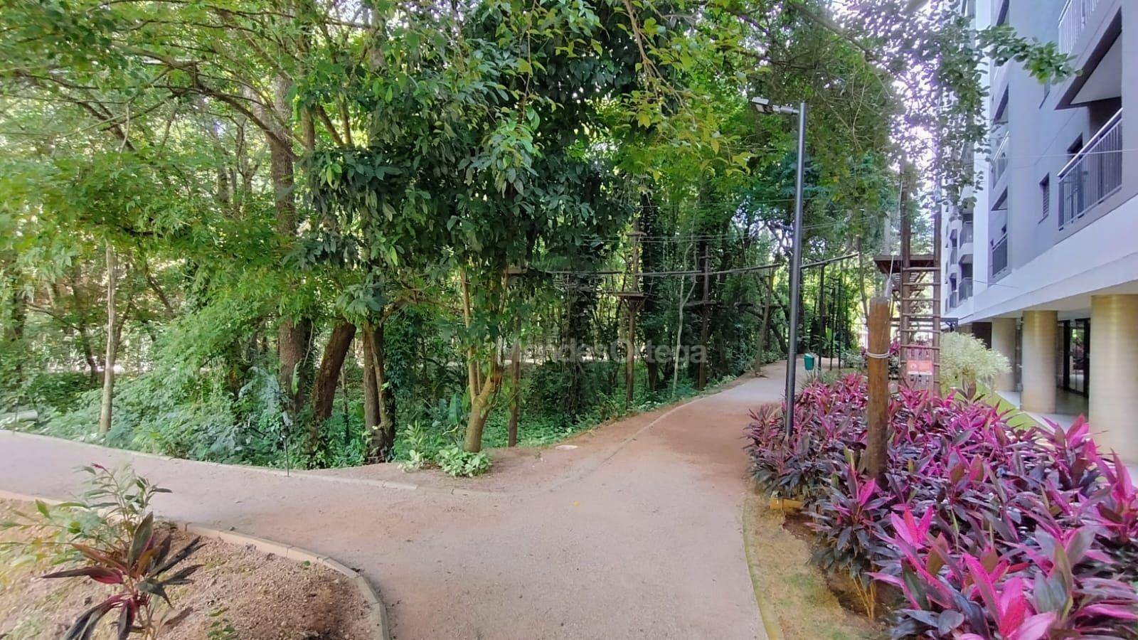 Apartamento à venda e aluguel com 3 quartos, 66m² - Foto 45