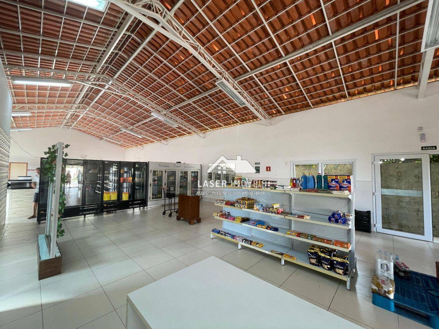 Chácara à venda com 4 quartos, 791m² - Foto 50