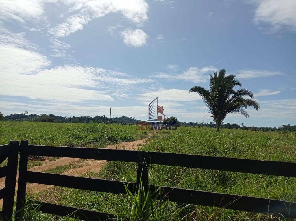 Fazenda à venda com 1 quarto, 2541000M2 - Foto 11