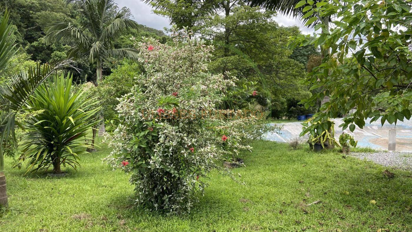 Chácara, 6000 m² - Foto 19