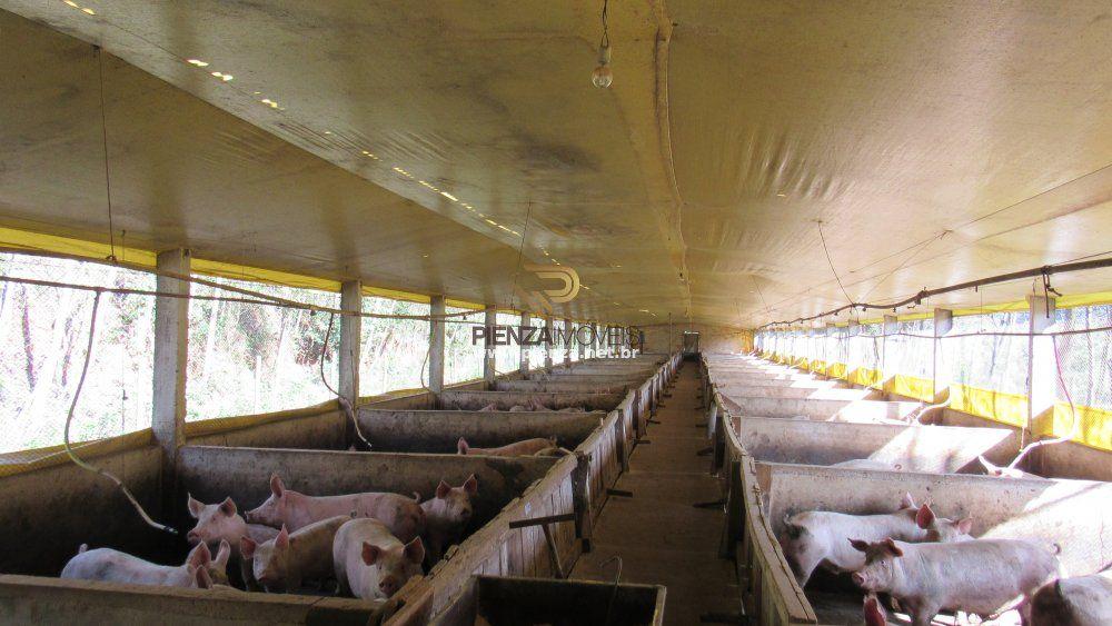 Loteamento e Condomínio à venda, 60000m² - Foto 34