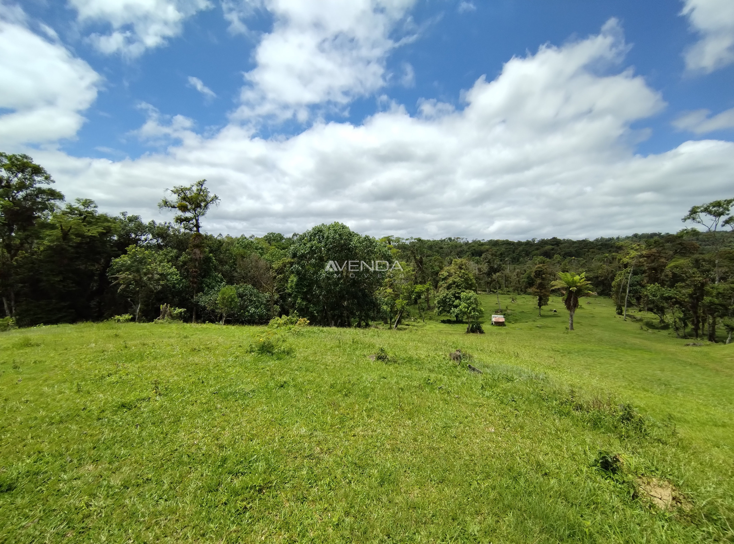 Fazenda à venda com 6 quartos, 208036m² - Foto 20