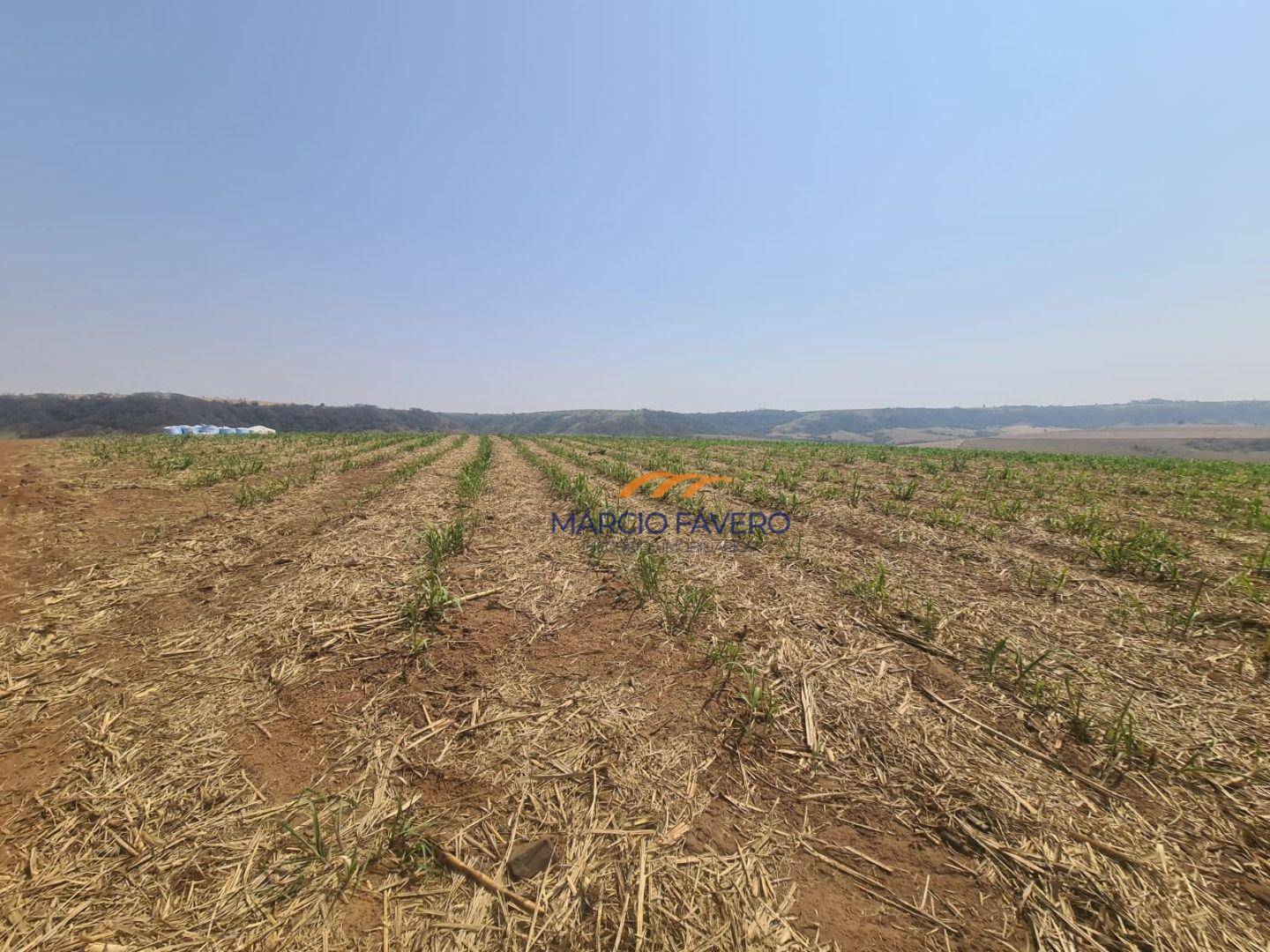 Fazenda à venda, 2299000M2 - Foto 24