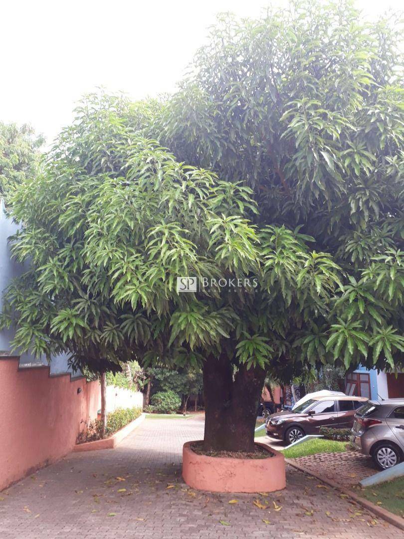 Casa de Condomínio à venda com 3 quartos, 110m² - Foto 38