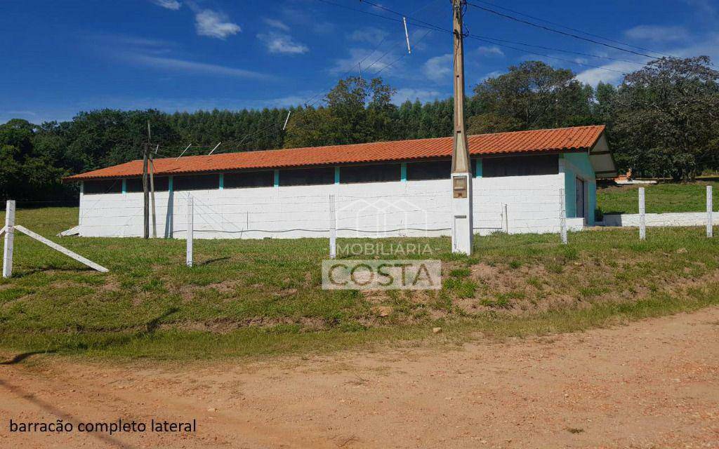 Sítio à venda com 4 quartos, 16600M2 - Foto 8