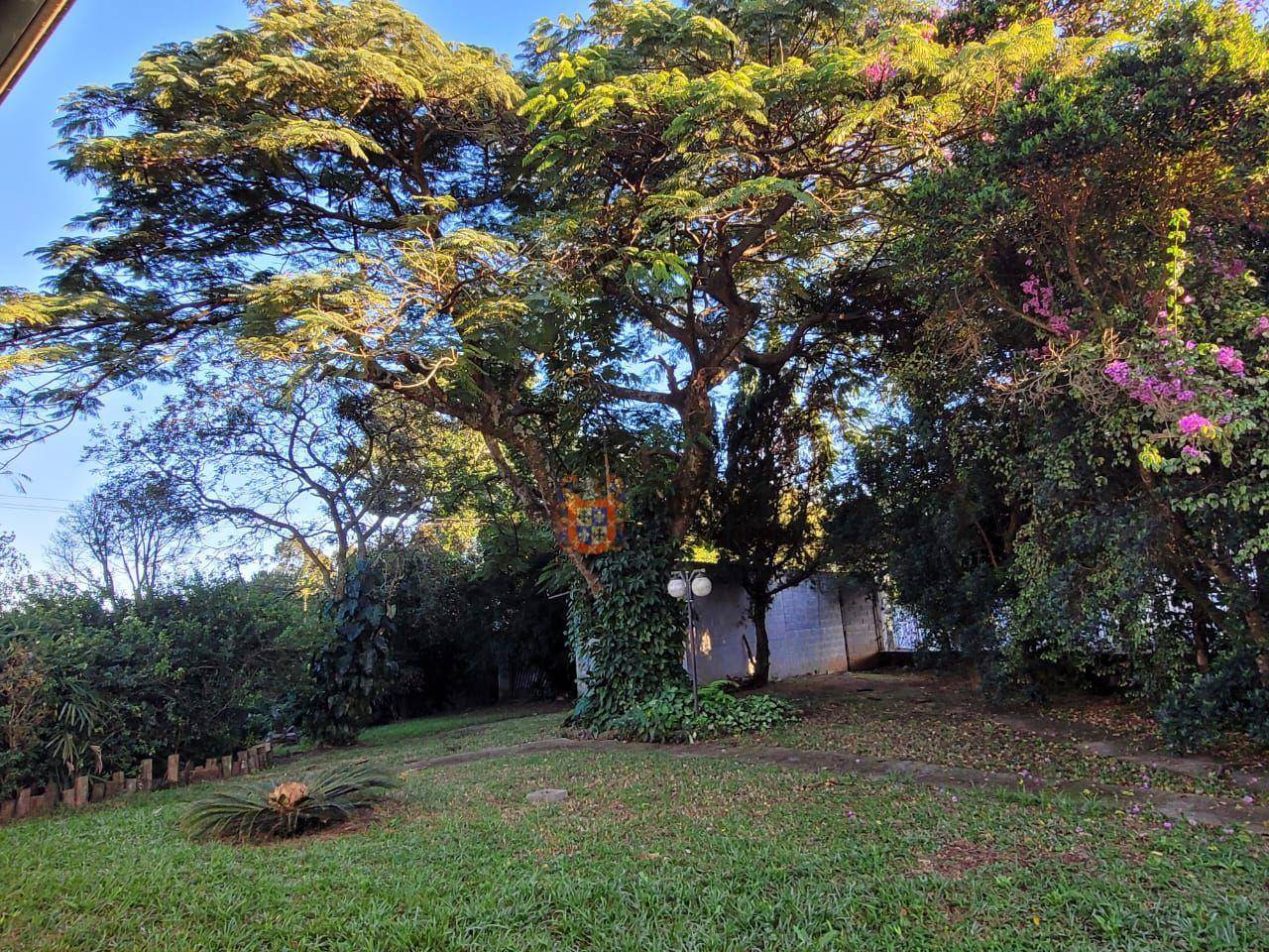 Chácara, 4 quartos, 2000 m² - Foto 5