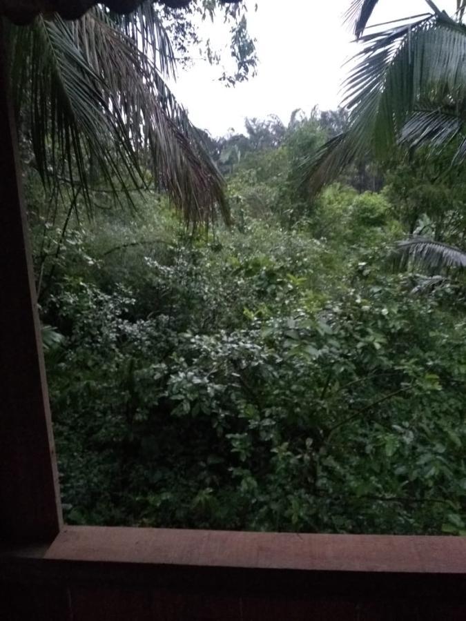 Chácara à venda, 1240m² - Foto 2