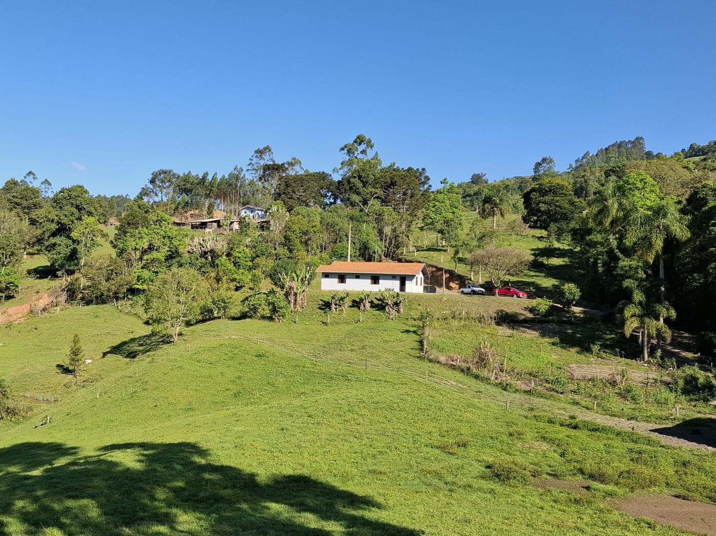 Fazenda à venda com 3 quartos, 90000m² - Foto 35